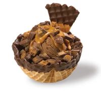 Oberweis Ice Cream and Dairy Store ico