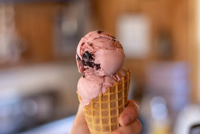 Covered Bridge Creamery Picture 7