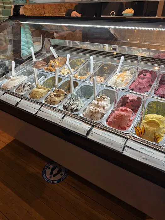 Sweet Home Gelato Libertyville Picture 8