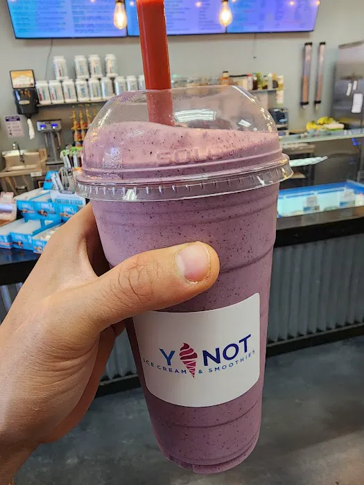 Y Not Ice Cream and Smoothies Picture 3