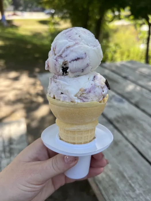 Chunk’s Ice Cream Picture 4