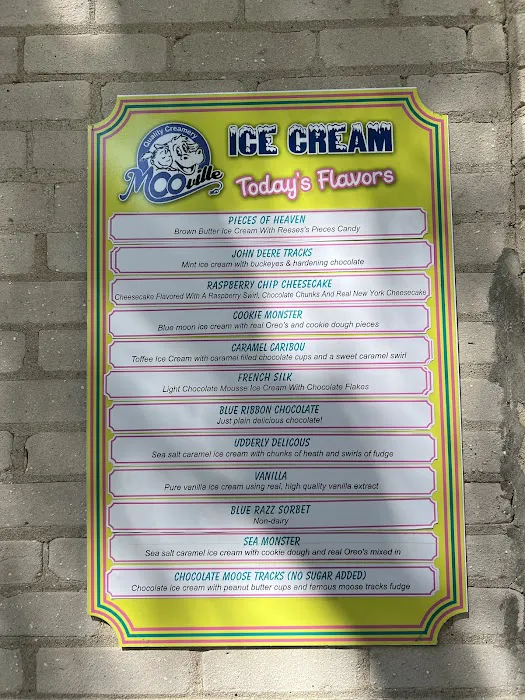 Chunk’s Ice Cream Picture 2