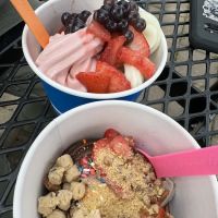 Froyo & So ico
