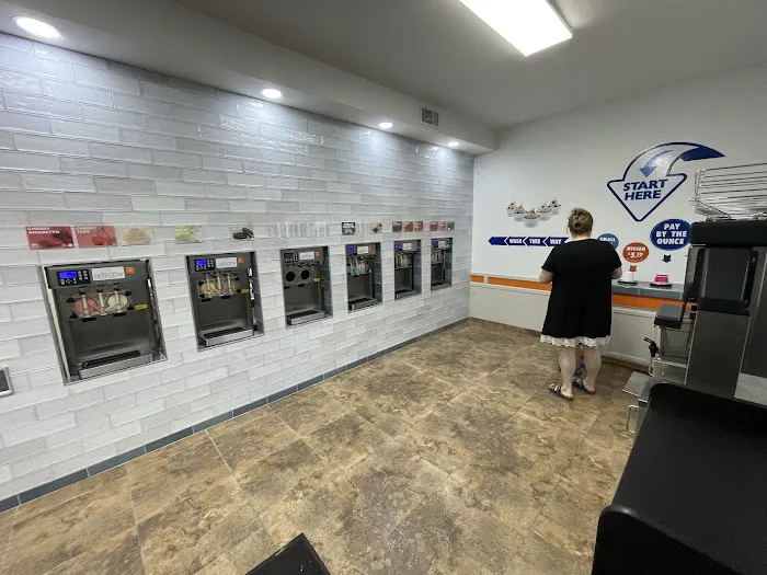 Froyo & So Picture 6