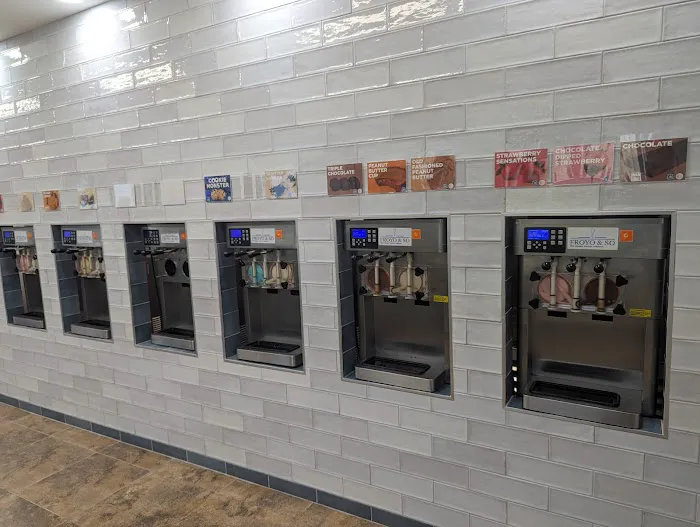 Froyo & So Picture 10