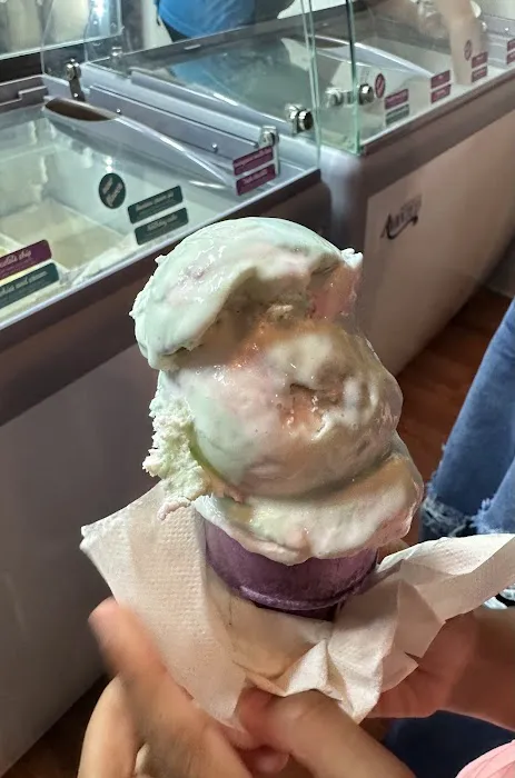 The Scoop Picture 7