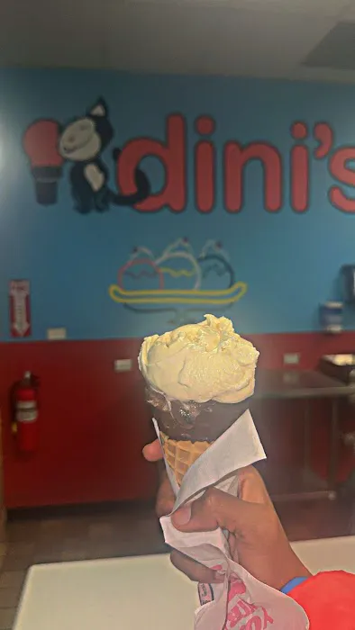 Dini's Ice Cream Shoppe Picture 10
