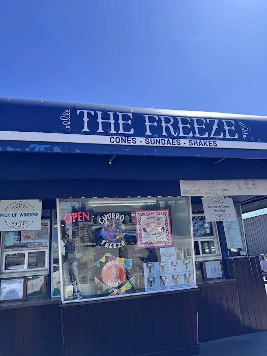 The Freeze Picture 4