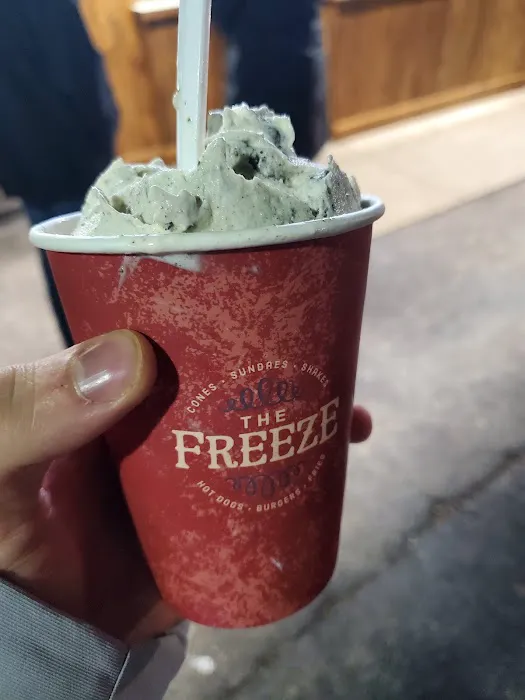 The Freeze Picture 10
