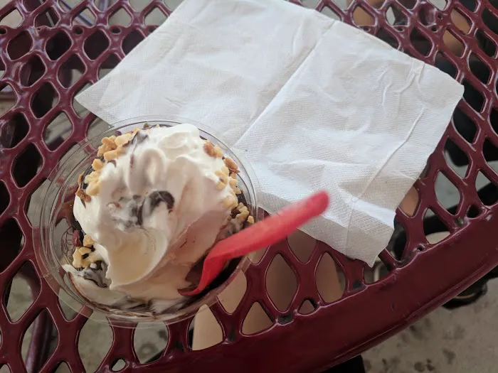 Dairy Queen (Treat) Picture 7