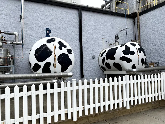 Oberweis Ice Cream and Dairy Store Picture 9