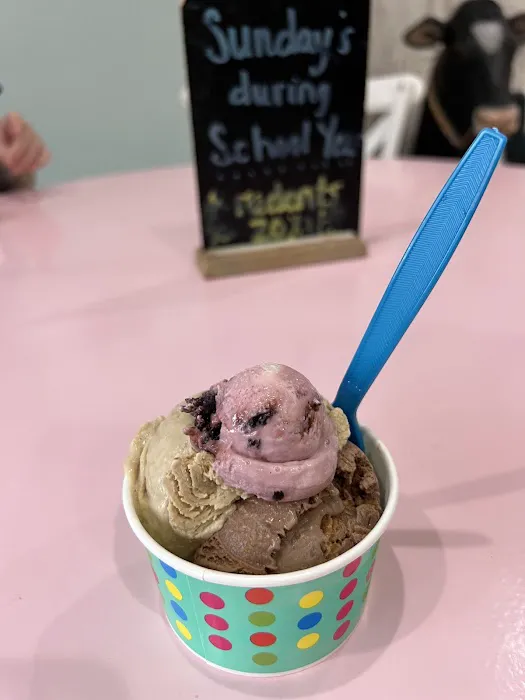 PaddyShack Ice Cream Picture 7