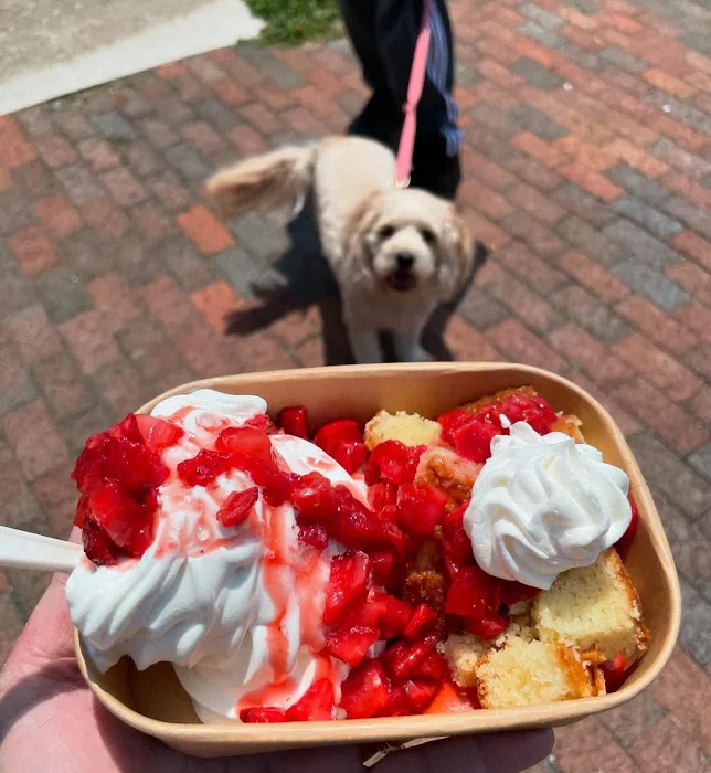 Slope Frozen Treats Picture 1