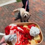 Slope Frozen Treats