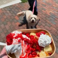 Slope Frozen Treats ico