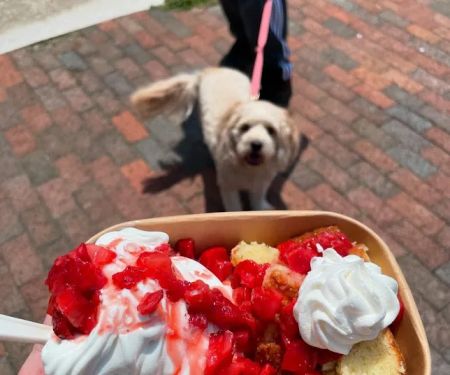 Slope Frozen Treats