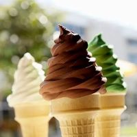 Carvel Express ico