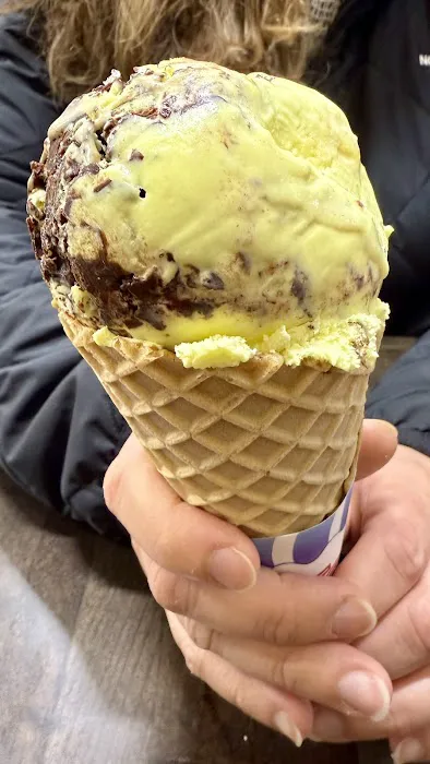 Scoop Society Picture 5