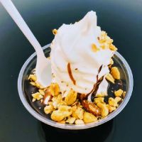 Alice's Place ico