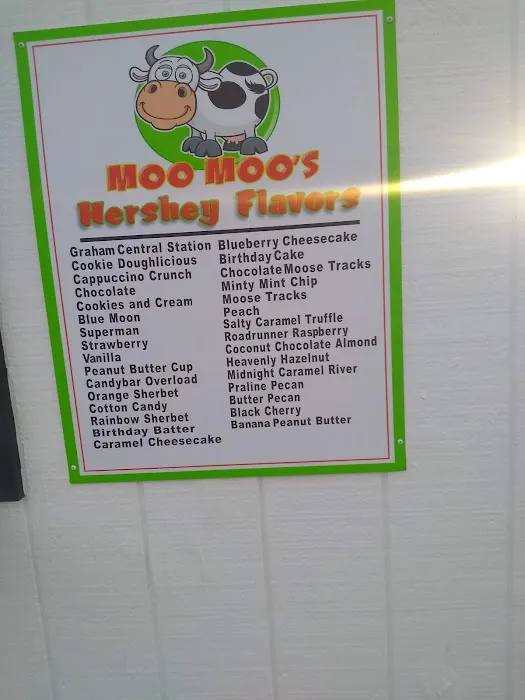 Moo Moos Ice Cream Picture 7