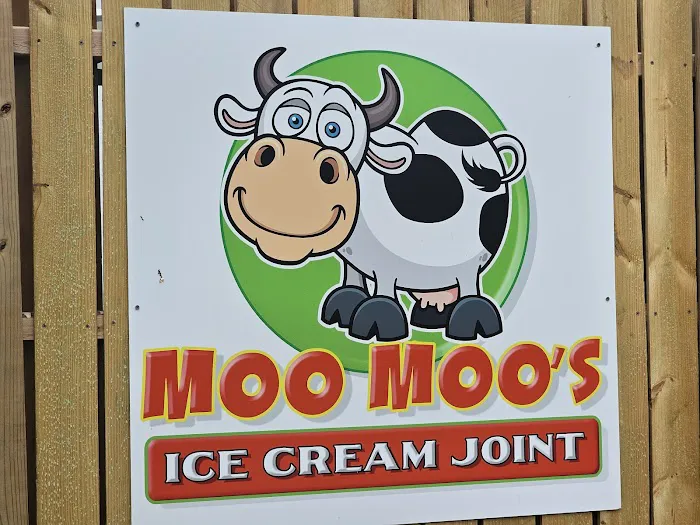 Moo Moos Ice Cream Picture 8