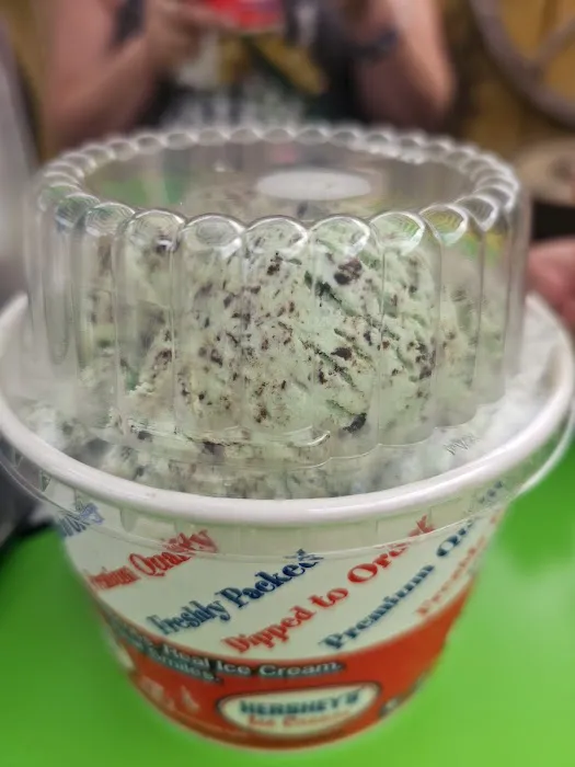 Moo Moos Ice Cream Picture 9