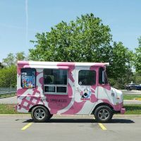 The Pink Cow Ice Cream Truck, LLC ico