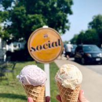 Social Ice Cream and Sandwich Shop ico