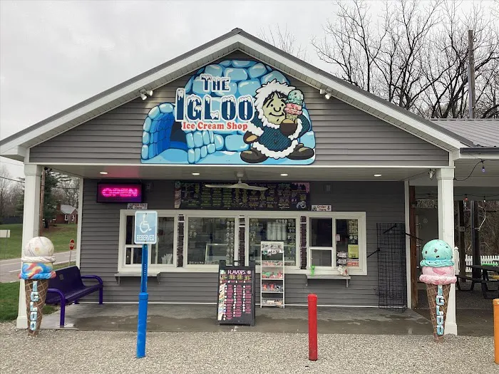 The Igloo Ice Cream Shop Picture 2
