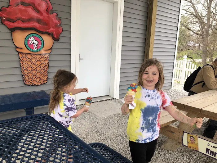 The Igloo Ice Cream Shop Picture 7