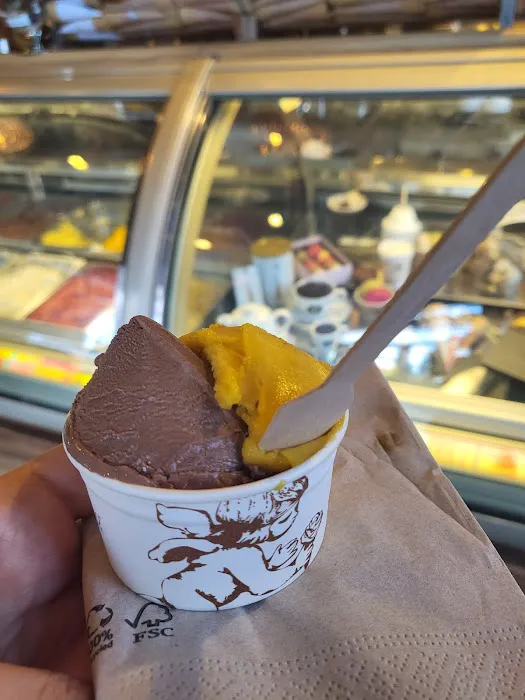 Amorino Gelato - Kalamazoo Picture 8