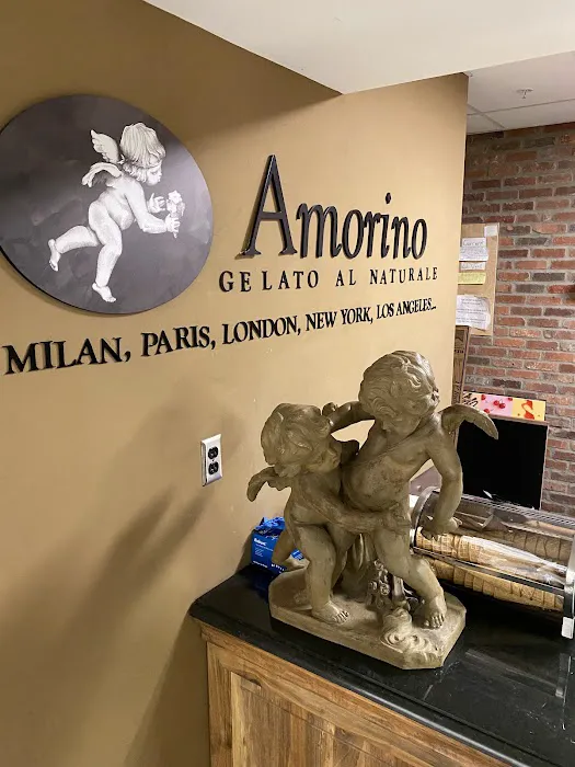 Amorino Gelato - Kalamazoo Picture 5