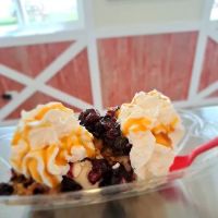 Countrytime Creamery ico