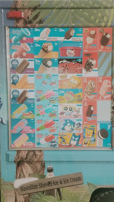Tropical Chill Ice Cream Truck Picture 2