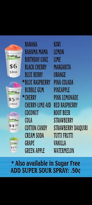 Tropical Chill Ice Cream Truck Picture 7