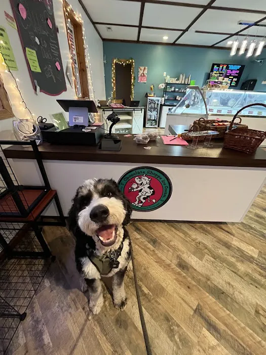 Dini's Ice Cream Shoppe Picture 4