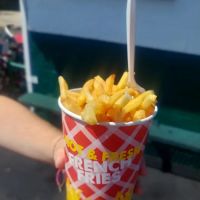 The Freeze ico