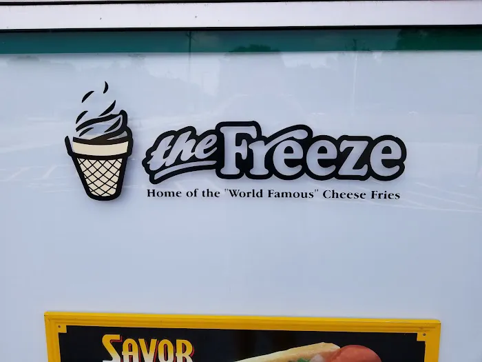 The Freeze Picture 10