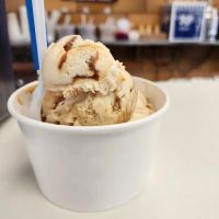 Plainwell Ice Cream Co ico