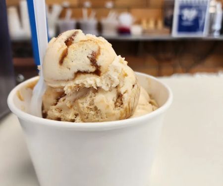 Plainwell Ice Cream Co