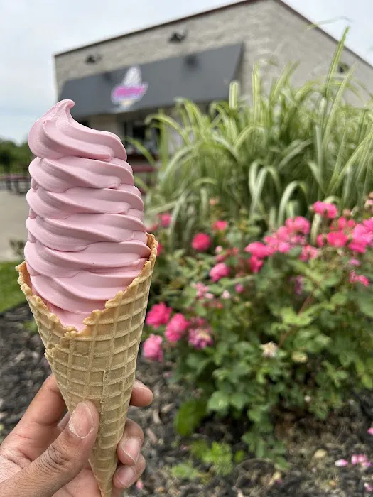 Spad's Twisters Soft Serve Ice Cream Picture 3
