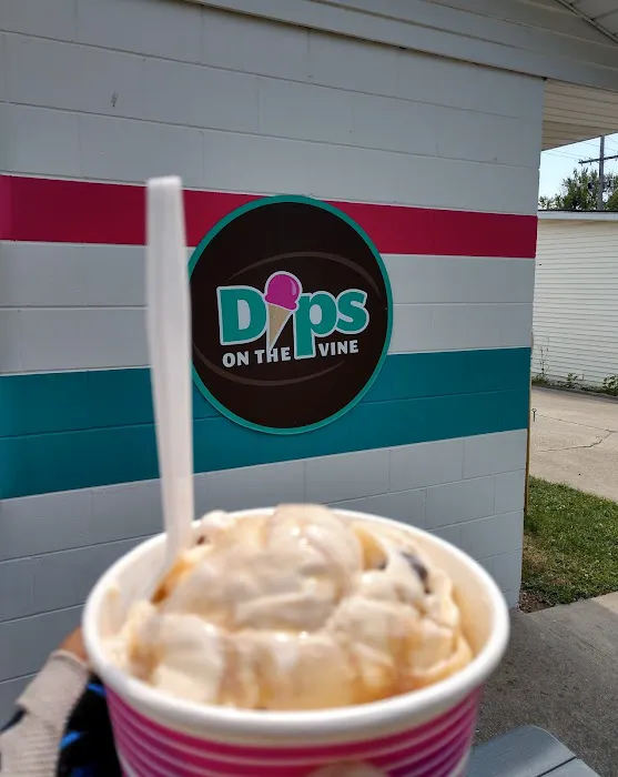 Dips on the Vine Picture 7