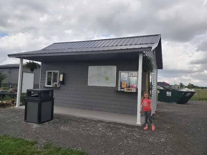 Countryside icecream shoppe Picture 9
