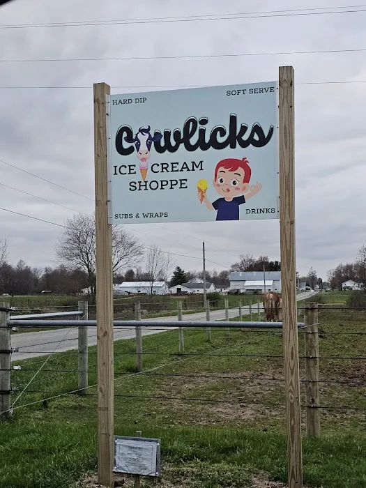 Cowlick's Ice Cream Shoppe Picture 5