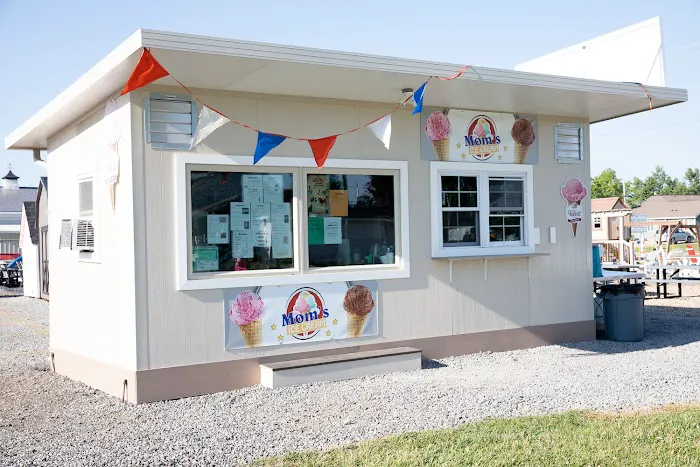 Mom's Ice Cream Picture 3