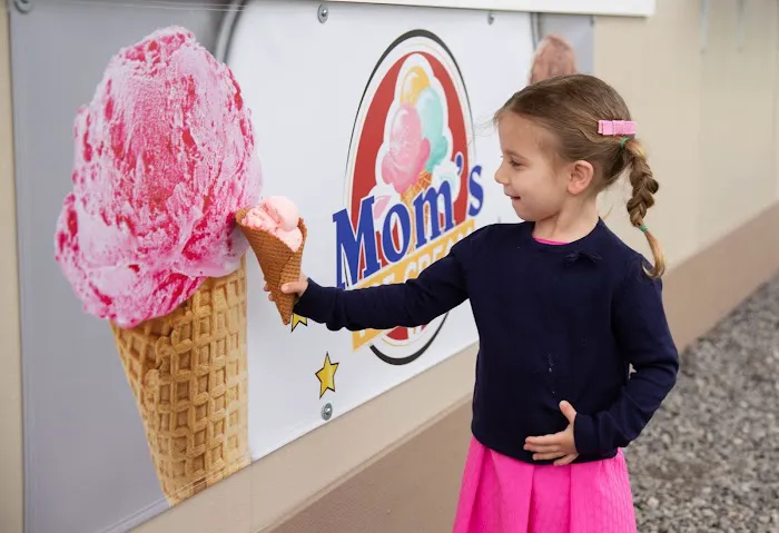 Mom's Ice Cream Picture 9