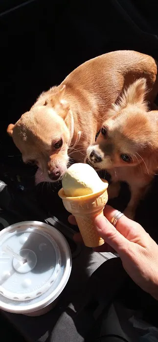 The Ice Cream Vault Picture 1
