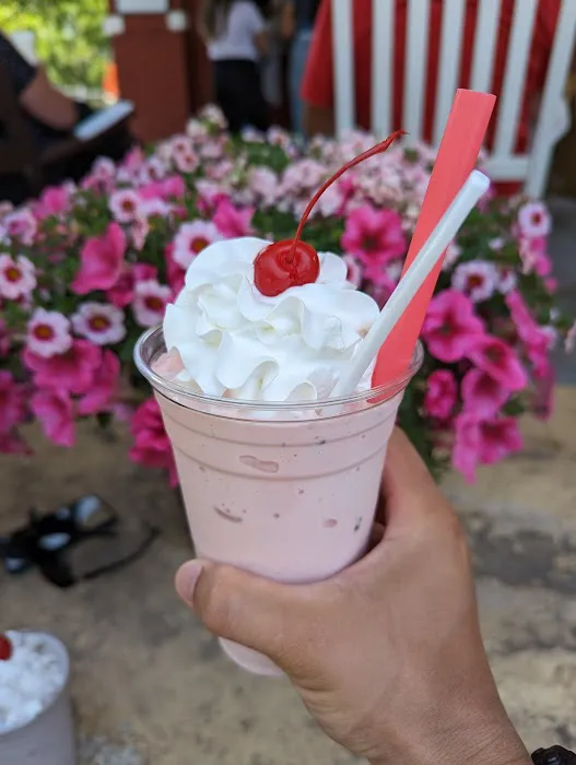 Wally and Olly's Ice Cream Picture 10
