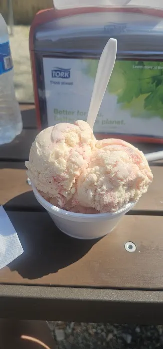 Wally and Olly’s Ice Cream Picture 5