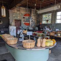 Cream and the crop ico